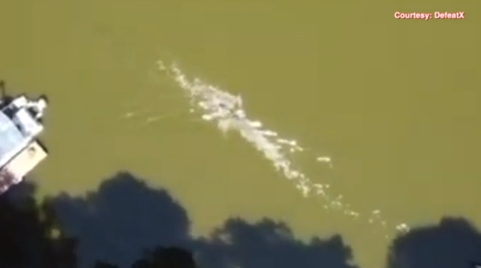 The drone video footage of the 12-ft alligator approaching Juan Carlos La Verde while he’s swimming in a Florida lake (ABC Action News/video screengrab)