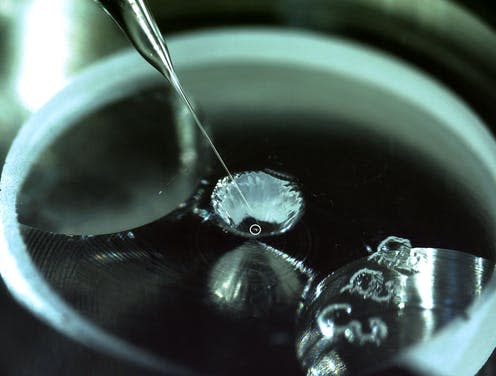 <span class="caption">A tiny speck of asteroid dust, circled, can only be manipulated by a glass needle.</span> <span class="attribution"><span class="source">ISAS JAXA</span></span>