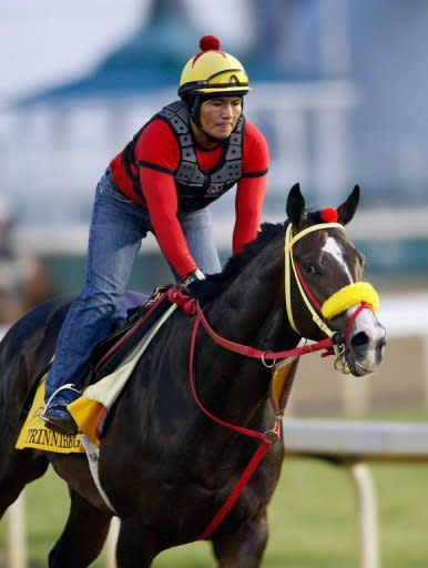 Trinniberg trains on the track in preparation for the 138th Kentucky Derby at Churchill Downs on May 2. Trinniberg, the expected pace-setter, starts from post nine