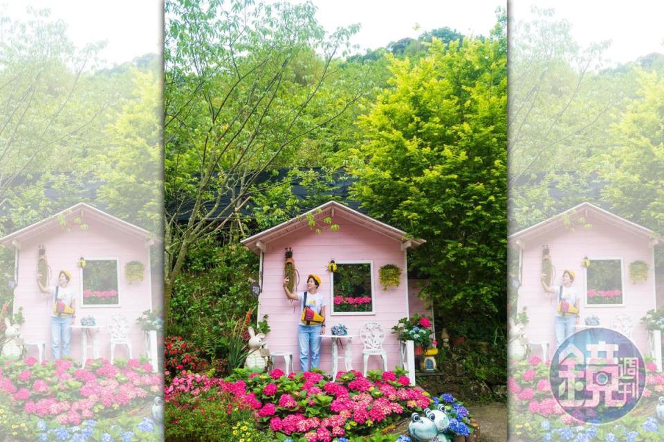 被網友譽為山林裡桃花源的「碧絡角」，園內有棟粉紅小木屋是最夯的打卡景點。