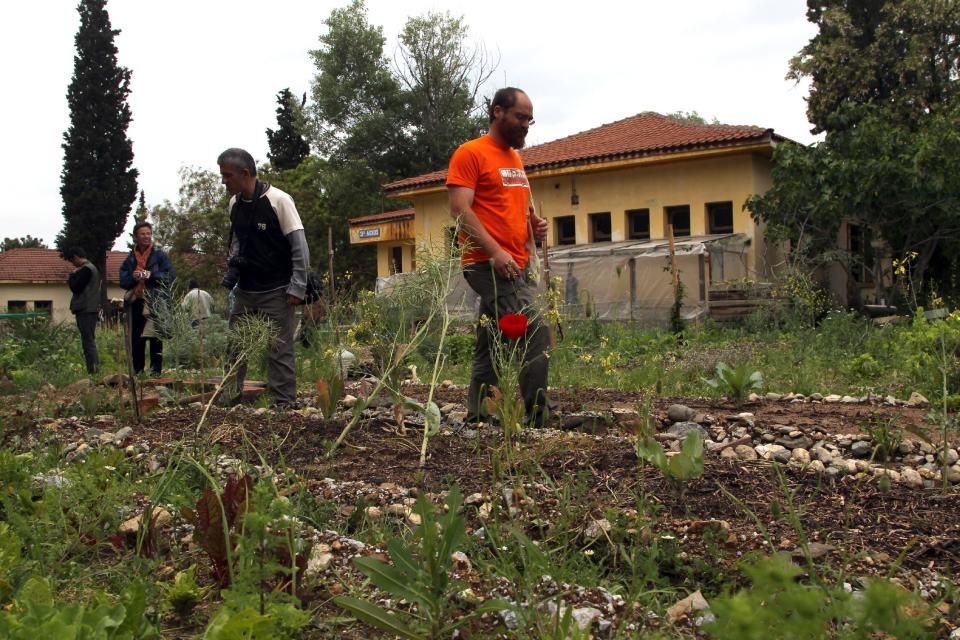 Urban farmers clears land to be used for planting crops to help residents hit by the country's financial crisis, in the former military camp Karatasiou, in the Northern Greek city of Thessaloniki, on Sunday, April 27, 2014. Volunteer residents are being encouraged to utilize many suburban areas left vacant amidst a drop in real estate prices, to grow crops aimed at helping people hit by the country's financial crisis. (AP Photo/Nikolas Giakoumidis)