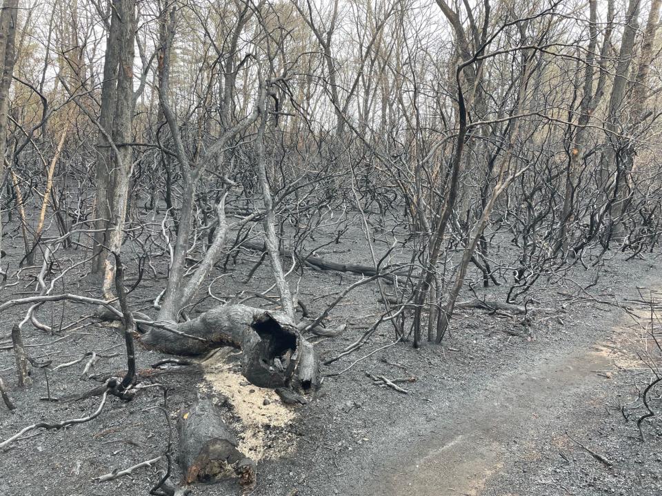 State officials are investigating the cause of last Friday's brush fire in Exeter. A campfire and ATV use were mentioned as possible causes at a news conference Monday.