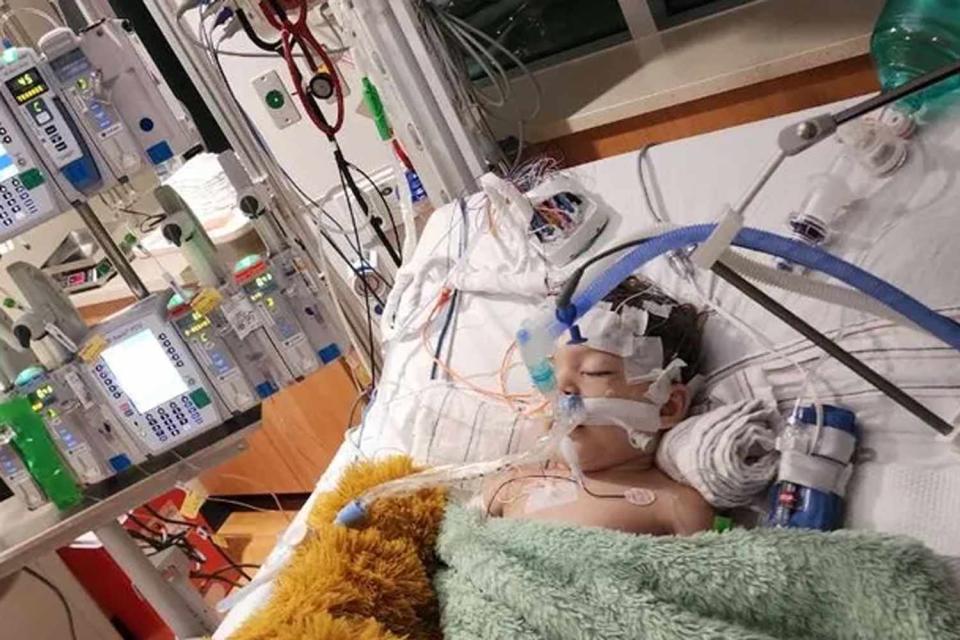 <p>GoFundMe</p> A photo of Ayko, a 1-year-old Indiana boy who fell into a backyard pool on May 3, 2024, and was later hospitalized