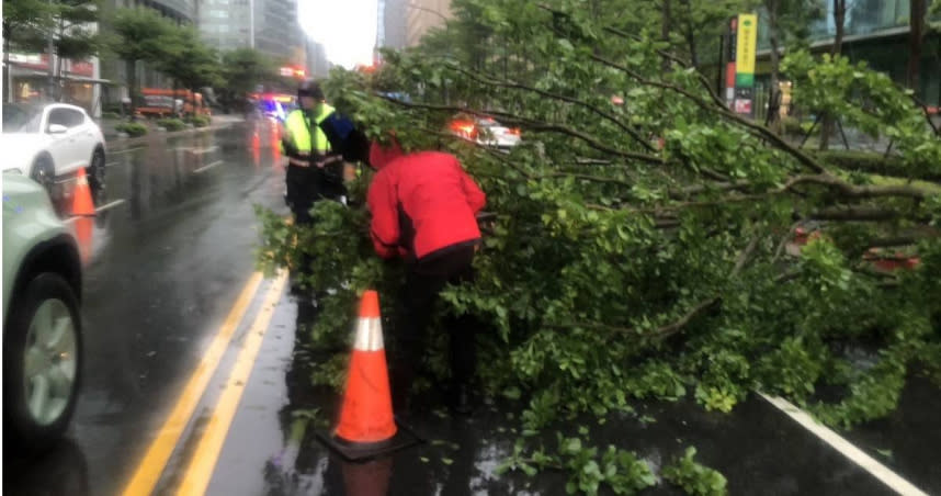 北市內湖區港墘路與瑞光路24日上午8時許發生路樹倒塌阻礙交通事故。（圖／翻攝畫面）