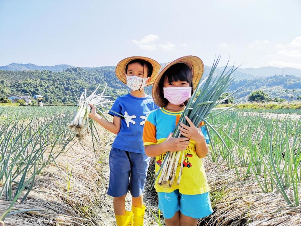 農夫青蔥體驗農場