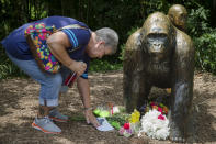 <p>Eula Ray, of Hamilton, whose son is a curator for the zoo, touches a sympathy card beside a gorilla statue outside the Gorilla World exhibit at the Cincinnati Zoo & Botanical Garden. On Saturday, a special zoo response team shot and killed Harambe, a 17-year-old gorilla, that grabbed and dragged a 4-year-old boy who fell into the gorilla exhibit moat. Authorities said the boy is expected to recover. <em>(AP Photo/John Minchillo)</em> </p>