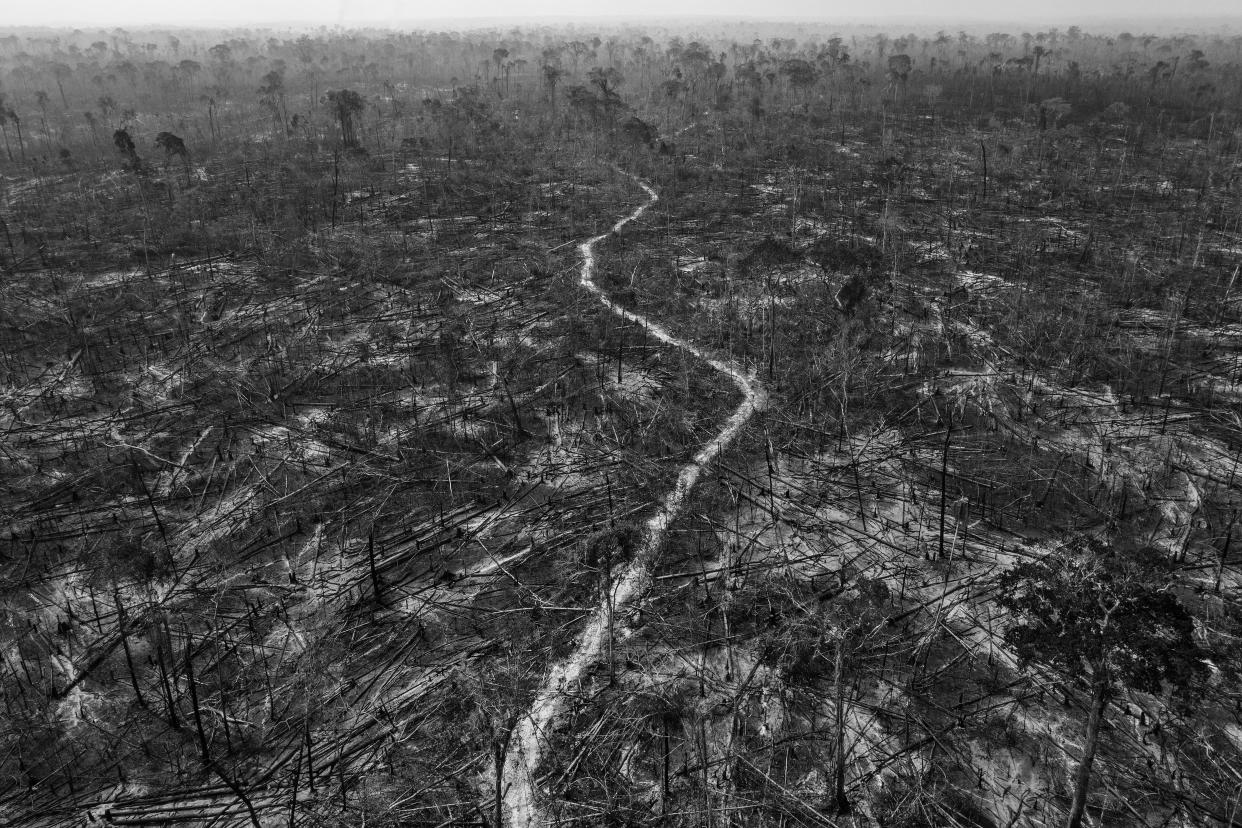 This image provided by World Press Photo, part of a series titled Amazonian Dystopia, by Lalo de Almeida for Folha de Sao Paulo/Panos Pictures which won the World Press Photo Long-Term Project award,, shows Massive deforestation is evident in Apui, a municipality along the Trans-Amazonian Highway, southern Amazon, Brazil, August 24, 2020. Apui is one of the region's most deforested municipalities. (Lalo de Almeida for Folha de Sao Paulo/Panos Pictures/World Press Photo via AP)