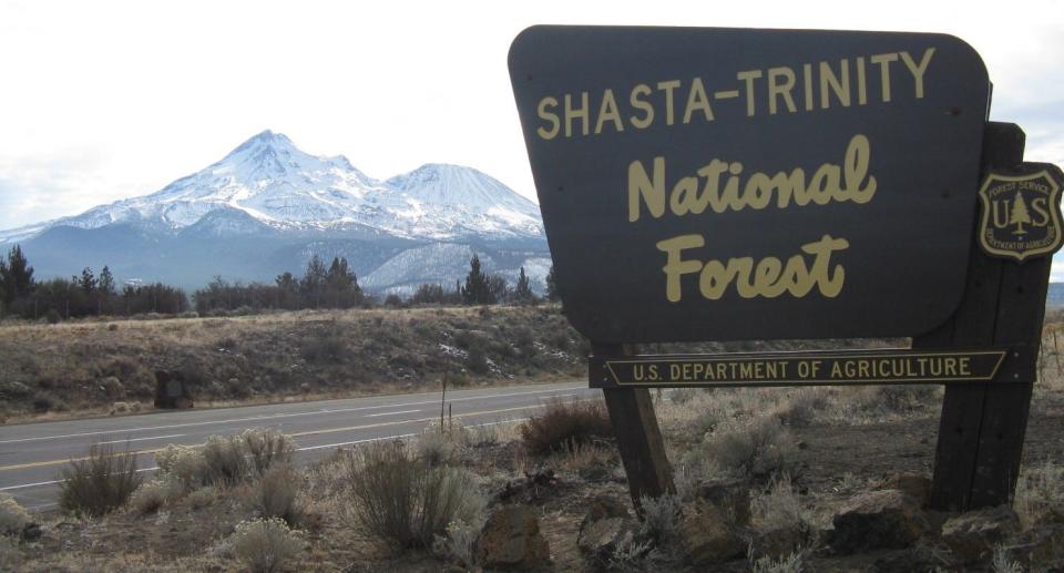 Shasta-Trinity National Forest welcomes summer guests on Memorial Day, 2023.