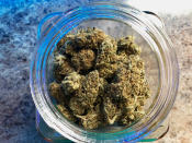 ADVANCE FOR PUBLICATION ON TUESDAY, JUNE 11, AND THEREAFTER - In this April 8, 2019, photo, a jar of medical marijuana sits on the counter at Western Oregon Dispensary in Sherwood, Ore. The dispensary is one of two medical-only marijuana dispensaries left in Oregon. An Associated Press analysis has found existing medical marijuana programs take a hit when states legalize cannabis for all adults. (AP Photo/Gillian Flaccus)