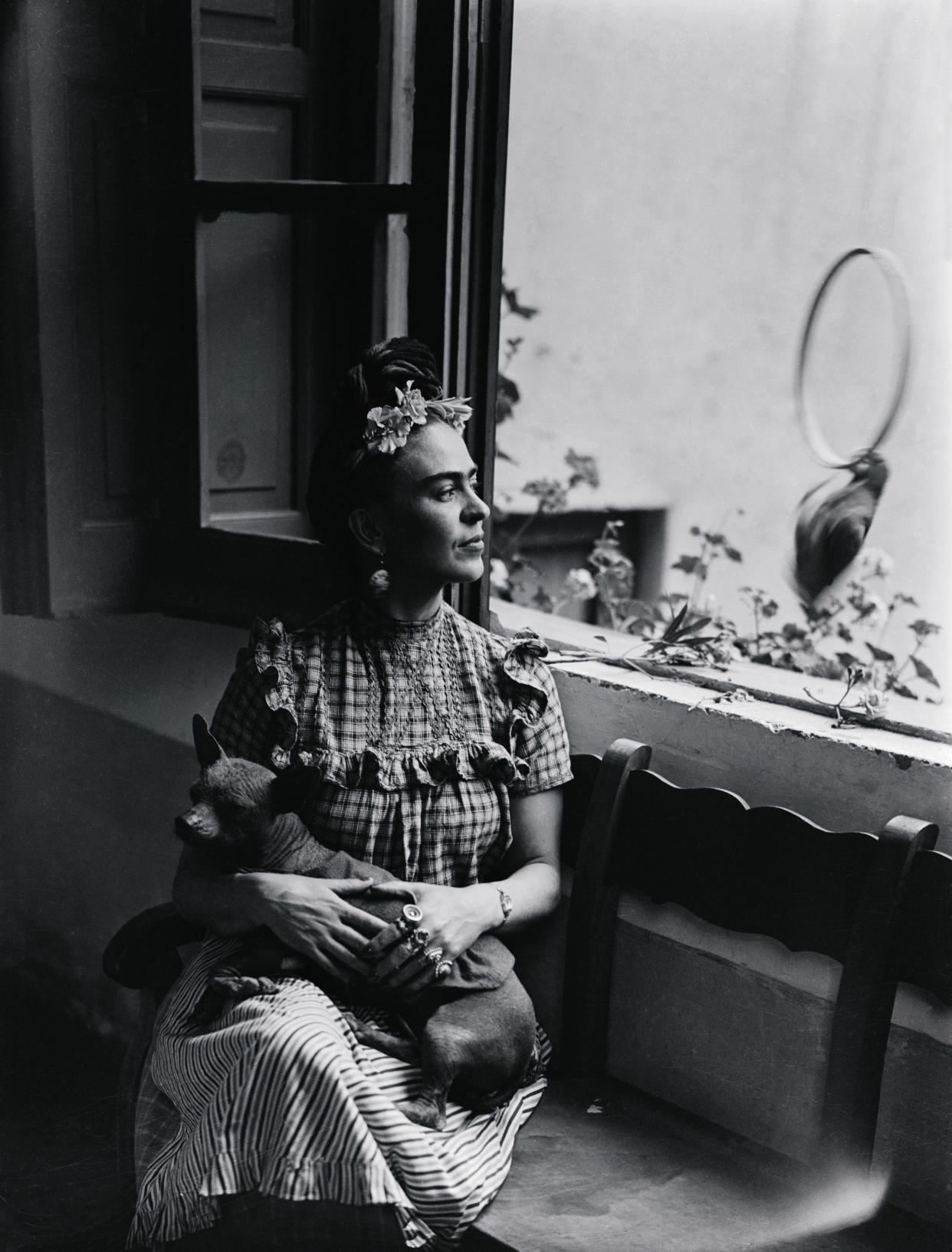 Frida Kahlo con uno de sus perros xoloitzcuintle. Foto: Getty