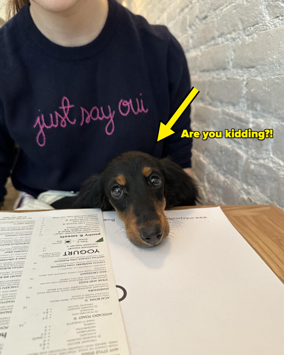 Person in "just say oui" sweater with a dachshund resting its head on a table next to a menu