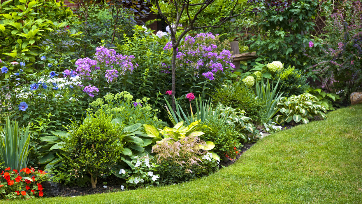  Colorful flower border in full bloom. 