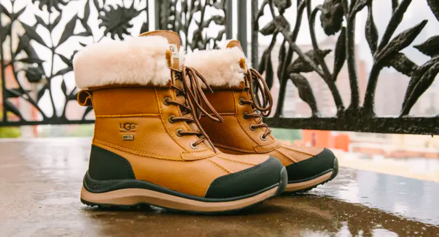enchufe Jarra junto a These $300 Ugg boots are my go-to for Canadian winterzs