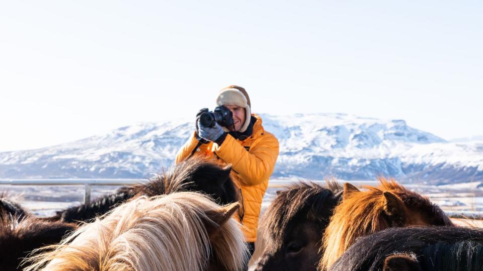 Icelandic Horses | Iceland