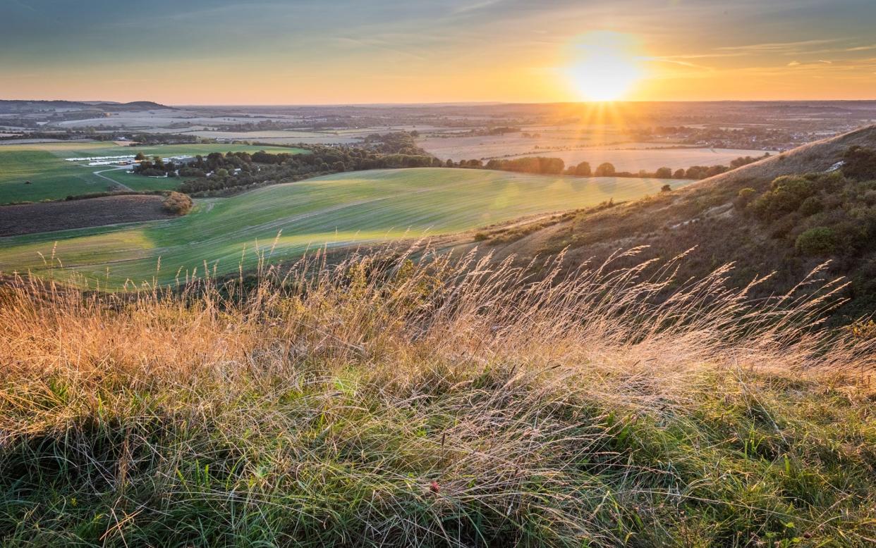 the chalk escarpment of Dunstable Downs - getty