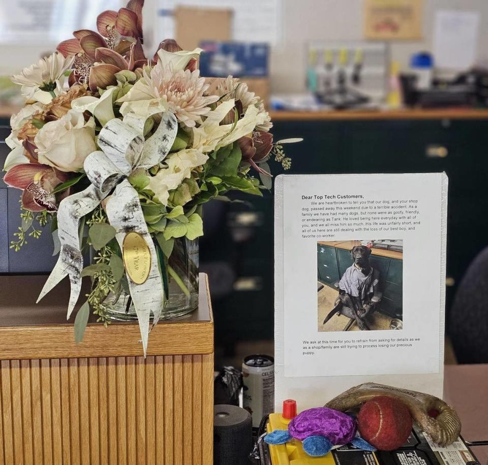 Maro said Tank often greeted customers of his auto repair shop in Grass Valley. Photo courtesy of Dennis Maro.