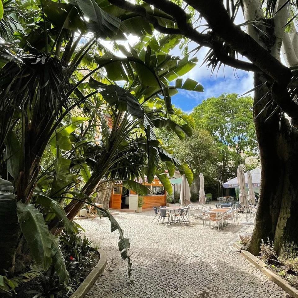 Jardín del Instituto Goethe en Lisboa