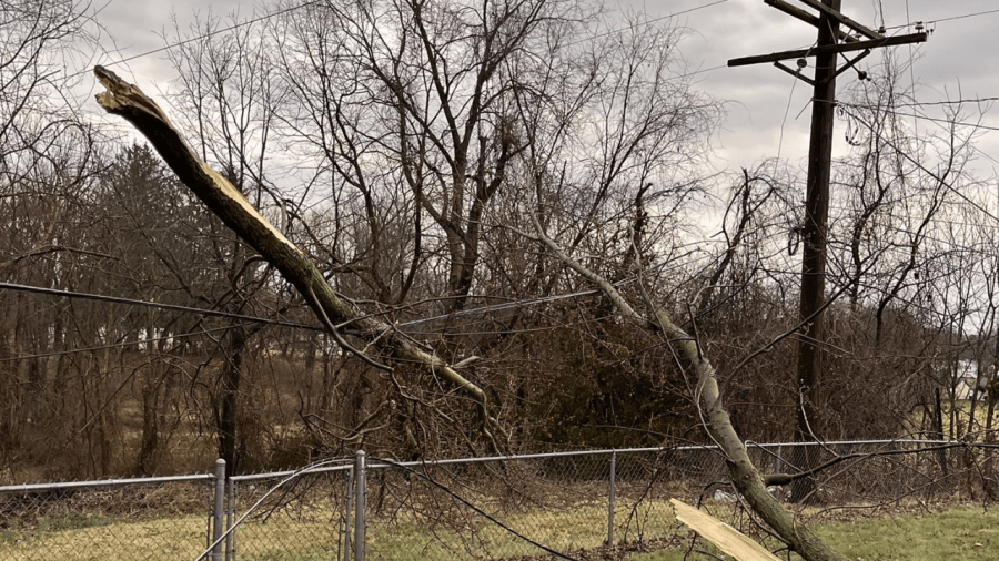 A downed trees covers a fence and power line in Lancaster, Ohio after thunderstorms on February 28, 2024 (Courtesy Photo/AEP Ohio)