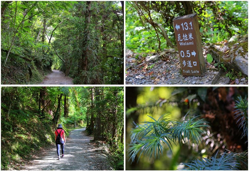 花蓮｜瓦拉米步道、南安瀑布