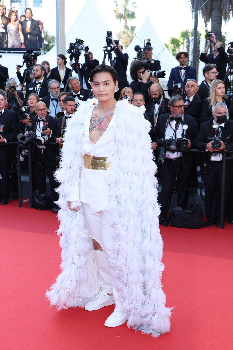 Les plus belles tenues des stars sur le tapis rouge de Cannes