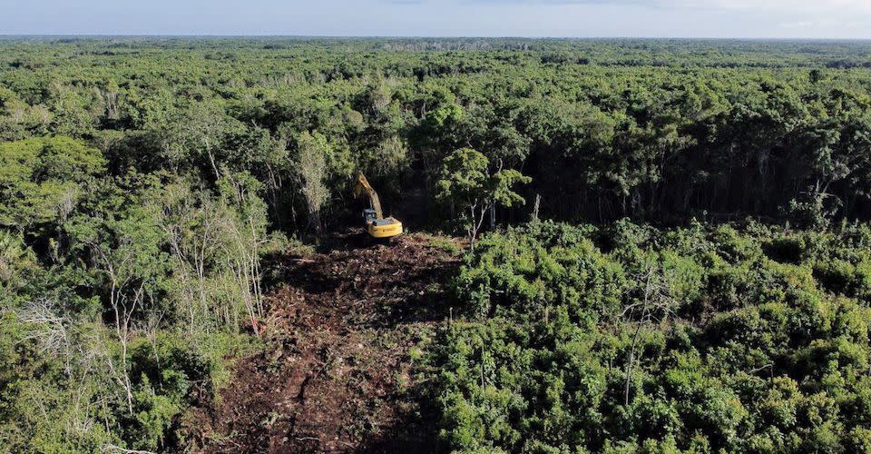 “¿Qué va a enseñar el gobierno a los turistas cuando ya destruyó todo?”: Consejo indígena sobre el Tren Maya