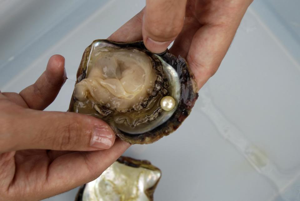 In this Wednesday, April 4, 2012 photo, an employee of RAK Pearls Holding presents a cultured pearl inside an oyster shell after they have collected it from the sea farm in Ras al-Khaimah, United Arab Emirates. Long before the discovery of oil transformed the Gulf, the region's pearl divers were a mainstay of the economy. Their way of life, however, also was changed forever after Japanese researchers learned how to grow cultured pearls in 1930s. Now a collaboration between pearl traders in Japan and the United Arab Emirates had brought oyster farming to the UAE for the first time. (AP Photo/Kamran Jebreili)