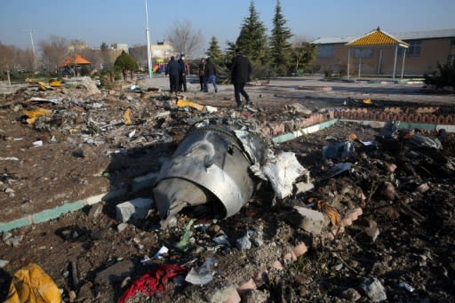 The shooting-down of Ukrainian International Airlines flight 752 near Tehran on January 8 left 176 people dead