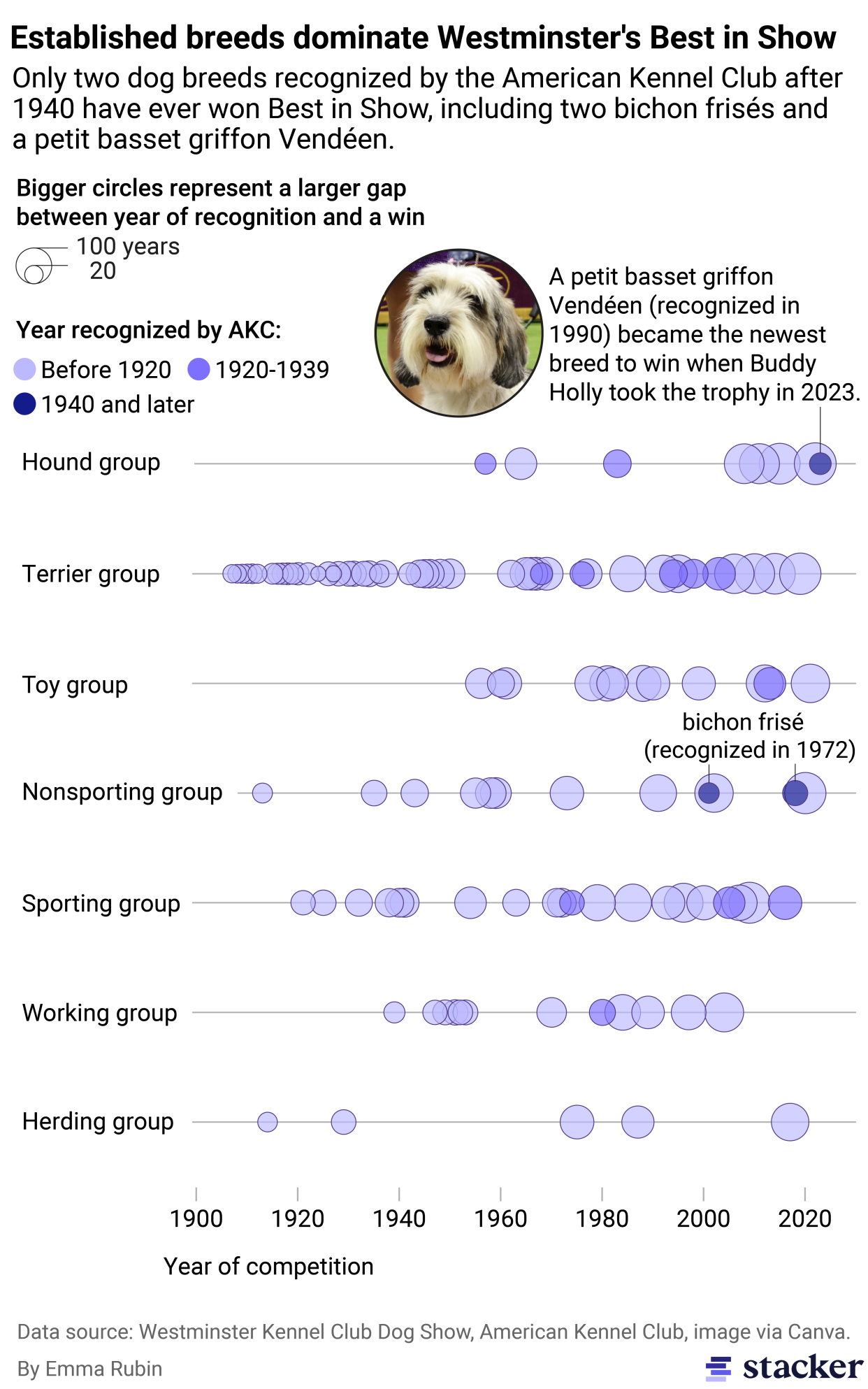 A bubble plot showing established breeds dominate Westminster's Best in Show competition. Only two breeds recognized by AKC after 1940 have ever won, two bichon frisé and petit basset griffon Vendéen.