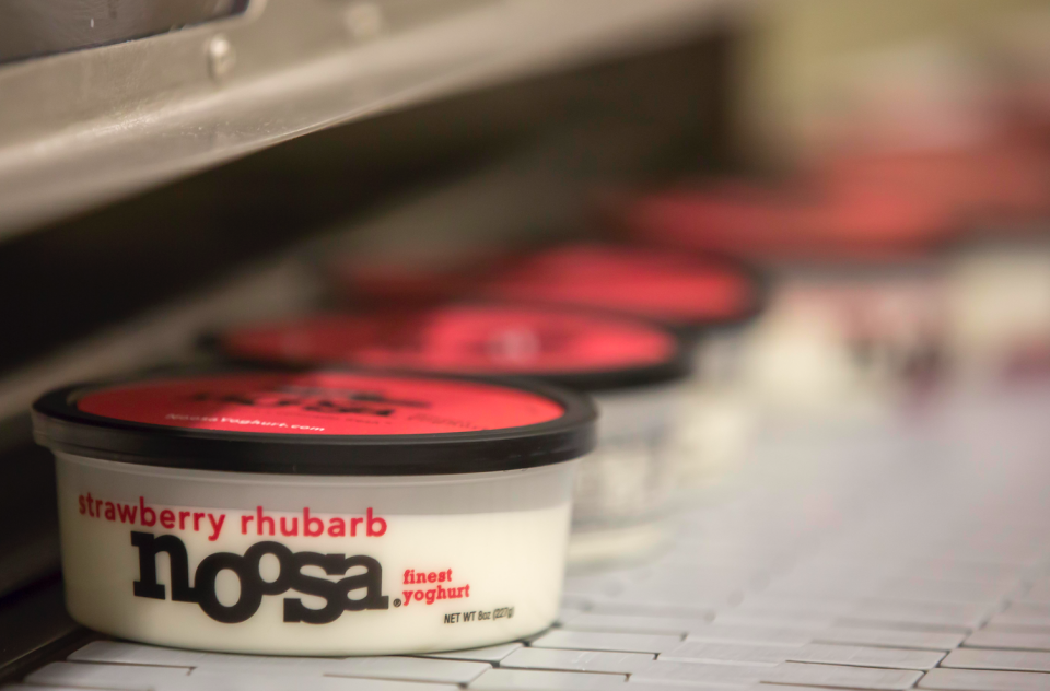 Noosa Yoghurt on production line