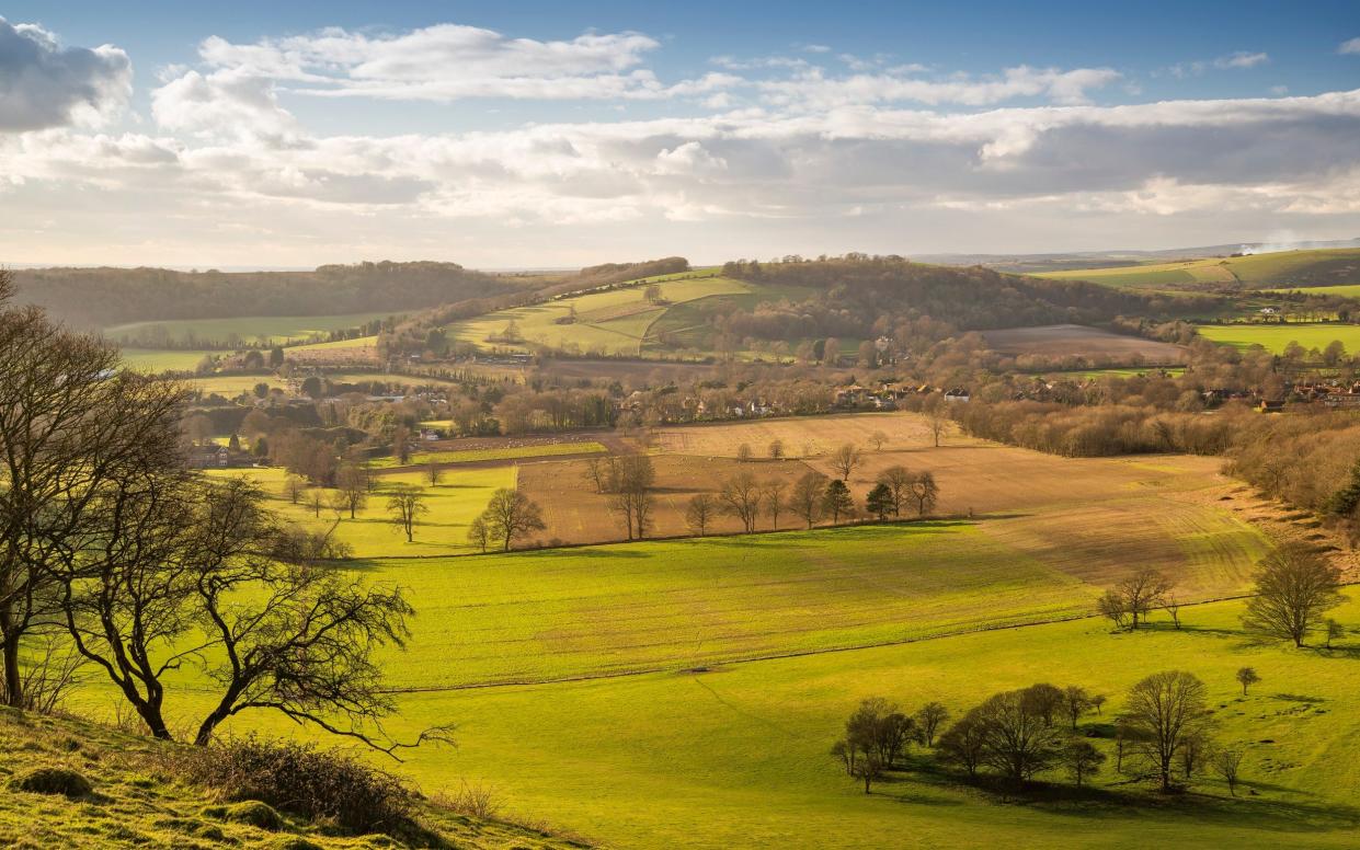 Countryside and memory - iStockphoto/SeanEvisonSussex