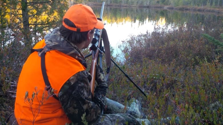 Facebook ban on private gun sales 'an inconvenience', says Labrador hunter