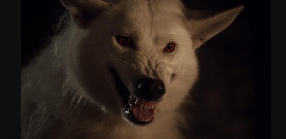 Ghost isn't happy with the news he won't be in the prequel series (credit: HBO)