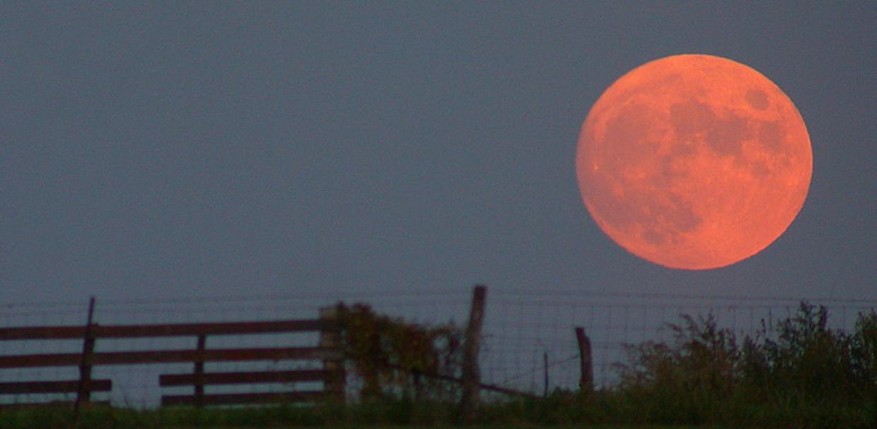 <span class="caption">The Moon often looks enormous when it first rises because of what is known as the Moon illusion.</span> <span class="attribution"><a class="link " href="https://commons.wikimedia.org/wiki/File:Harvest_moon.jpg#/media/File:Harvest_moon.jpg" rel="nofollow noopener" target="_blank" data-ylk="slk:Roadcrusher/Wikimedia Commons;elm:context_link;itc:0;sec:content-canvas">Roadcrusher/Wikimedia Commons</a>, <a class="link " href="http://creativecommons.org/licenses/by-sa/4.0/" rel="nofollow noopener" target="_blank" data-ylk="slk:CC BY-SA;elm:context_link;itc:0;sec:content-canvas">CC BY-SA</a></span>