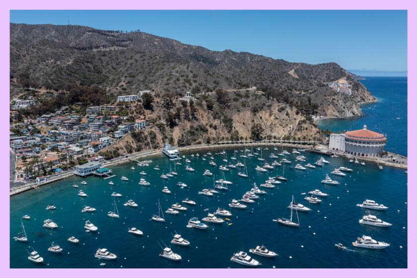 Boats tie up in the bay of Avalon on Catalina Island.