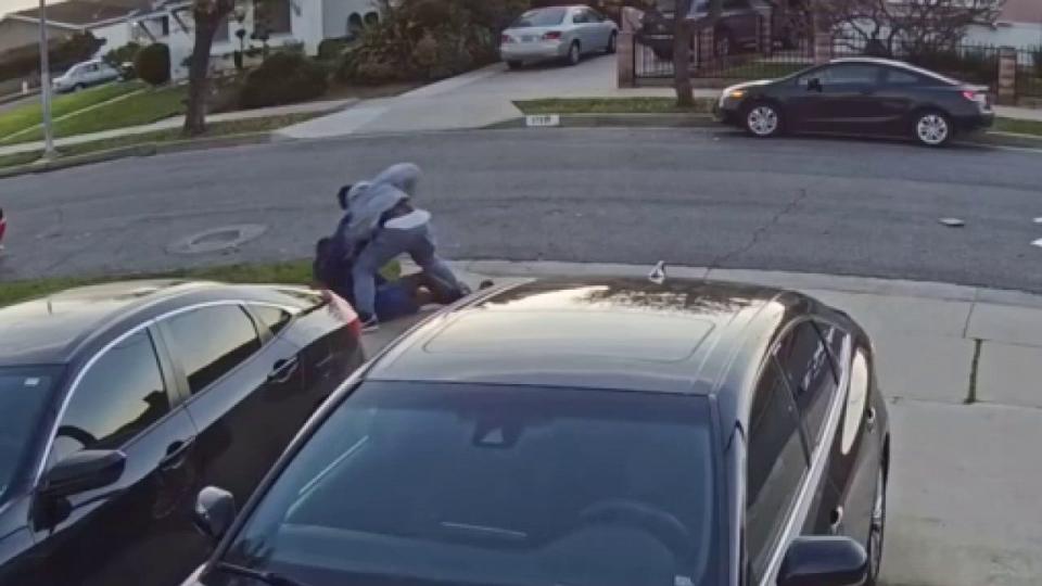 man fighting mail carrier