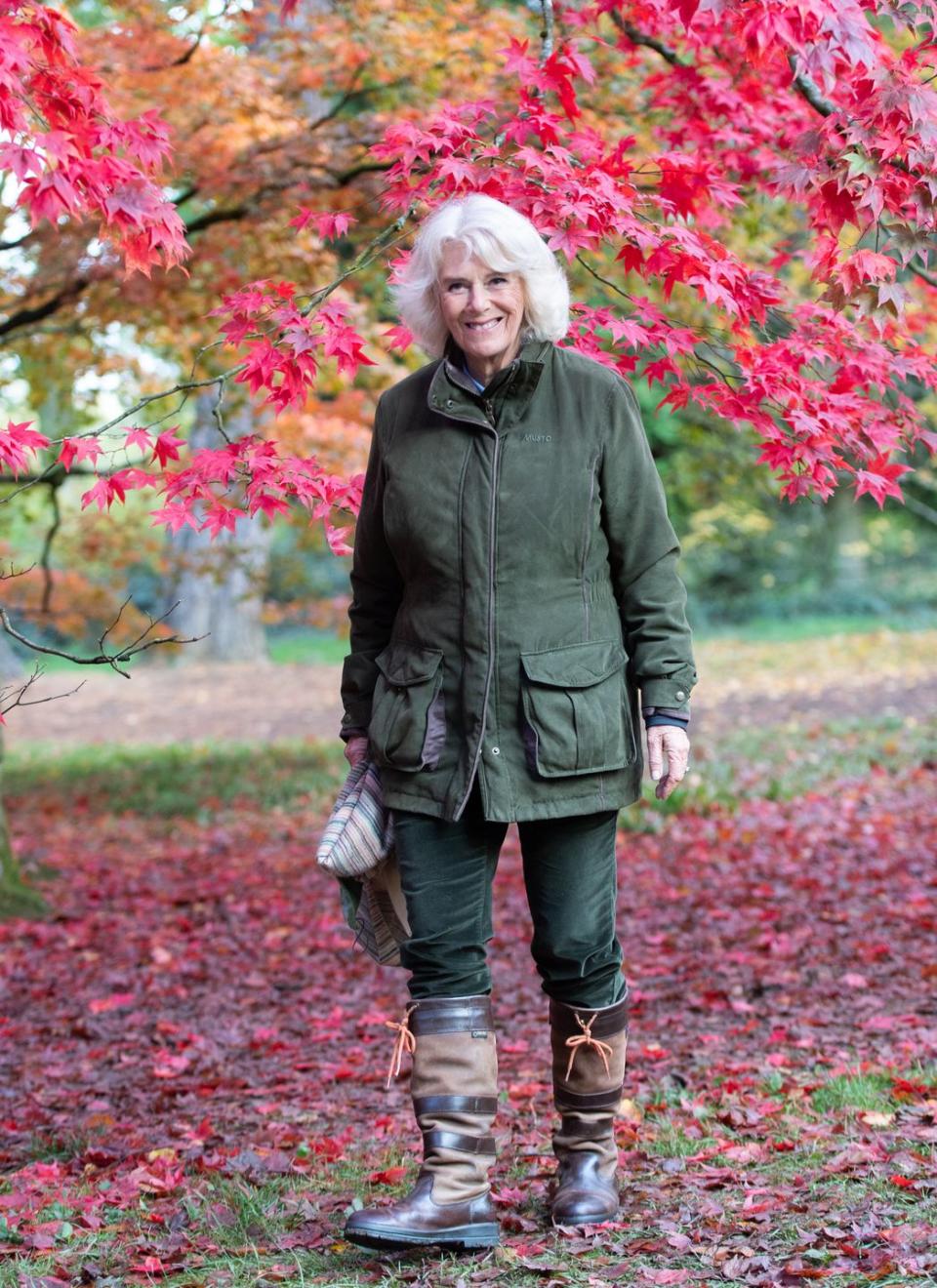 <p>Wearing a classically British, outdoorsy look, the Duchess of Cornwall embraced a beautiful fall day at the National Arboretum in Tetbury, England.</p>