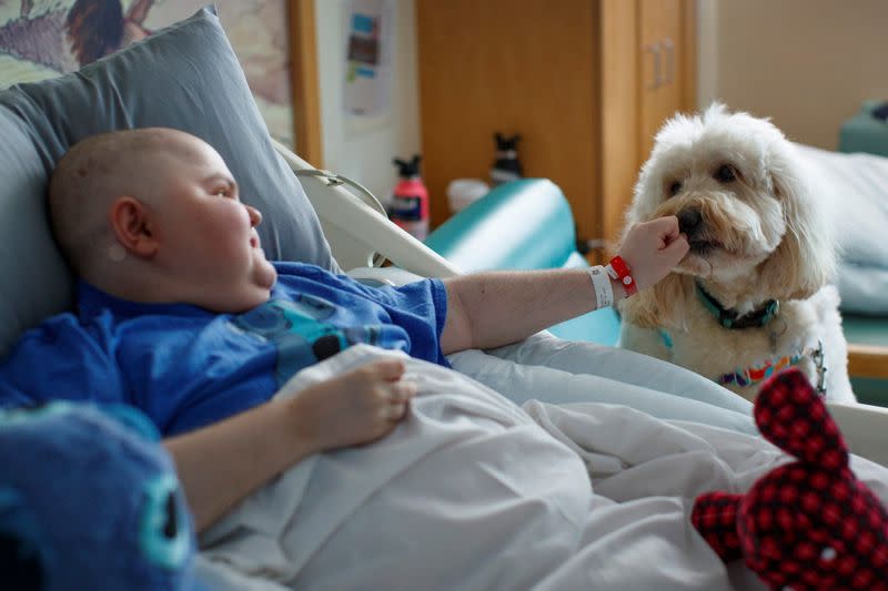 Ollie the dog returns to greet children in a hospital as COVID-19 restriction ease in California