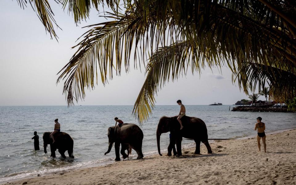 Tourists ride elephants on a beach on Thailand