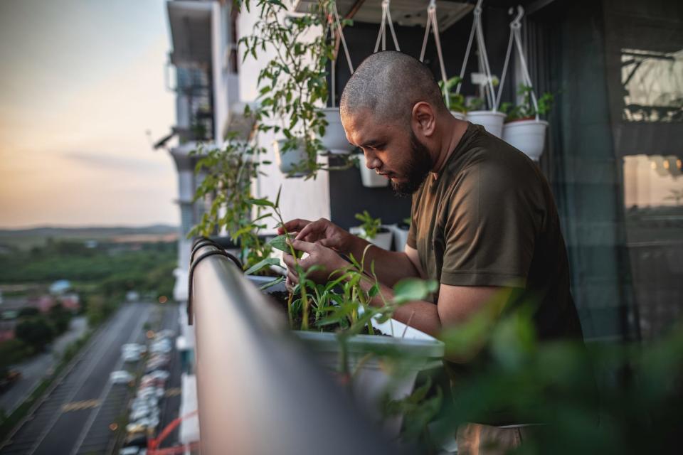 A man tending plants on the balcony of an apartment