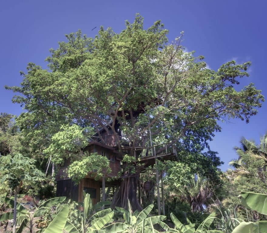 This stunning house includes two levels atop an enormous fig tree. It's the only treehouse in Utila, and has remarkable views of the lush landscape, jungle wildlife, and unobstructed stars. It includes hammocks, hot-water shower on the ground level, or an outdoor bucket shower on the elevated deck.&nbsp;<a href="https://www.homeaway.com/vacation-rental/p445863vb" target="_blank">Check it out</a>.&nbsp;