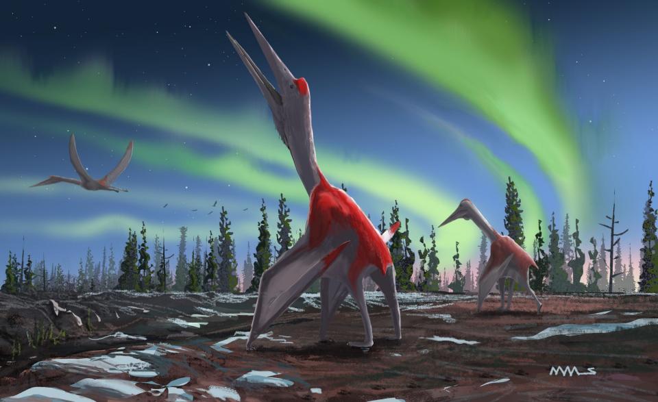 The dinosaur is more muscular than other types of its kind (AFP/Getty Images)