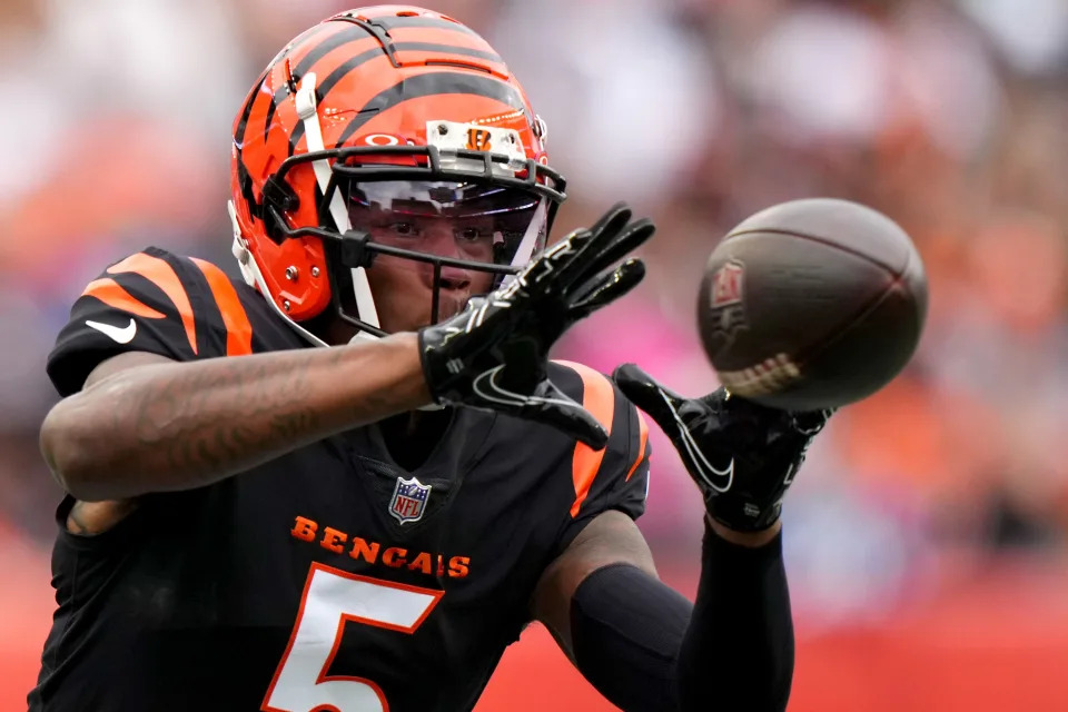 Cincinnati Bengals wide receiver Tee Higgins had a shot to be a Pro Bowler this year, but he has spent most of the season battling injuries.