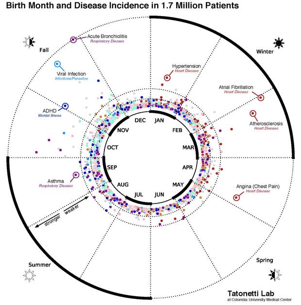 birthmonthchart.jpg