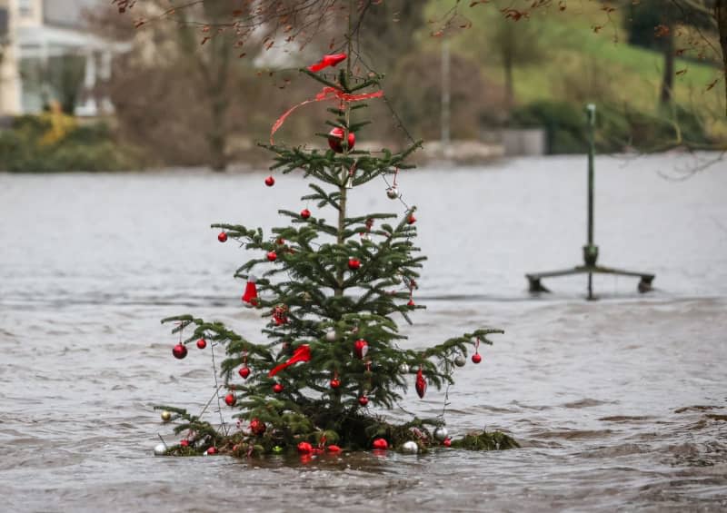 A decorated Christmas tree sticks out of the flood waters of the Weser in Achim-Baden. Numerous helpers are out and about in the district of Verden to secure dykes and protect residential areas from the flooding of the Aller, Weser and Wuemme rivers. Str/dpa