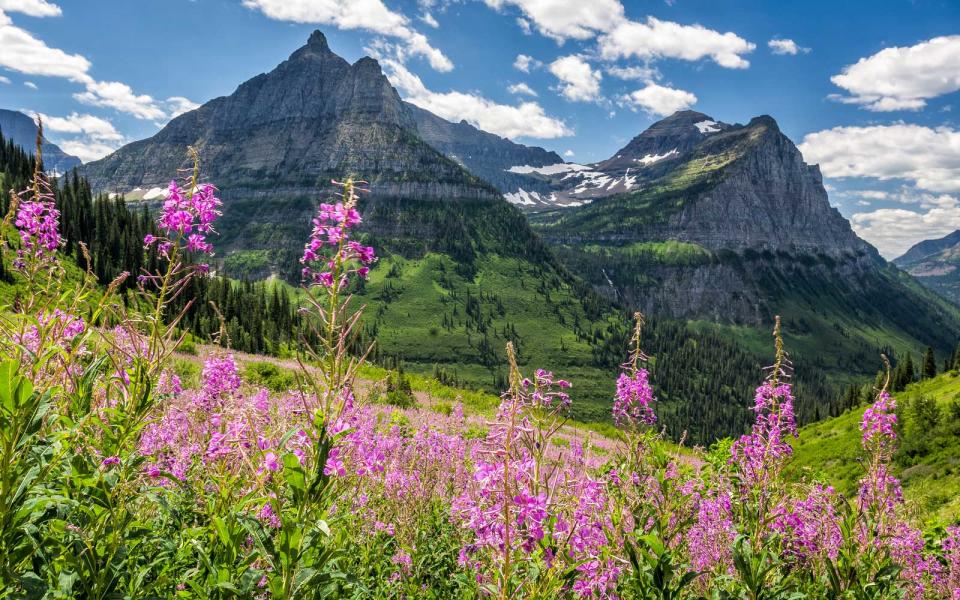 Glacier National Park, Montana