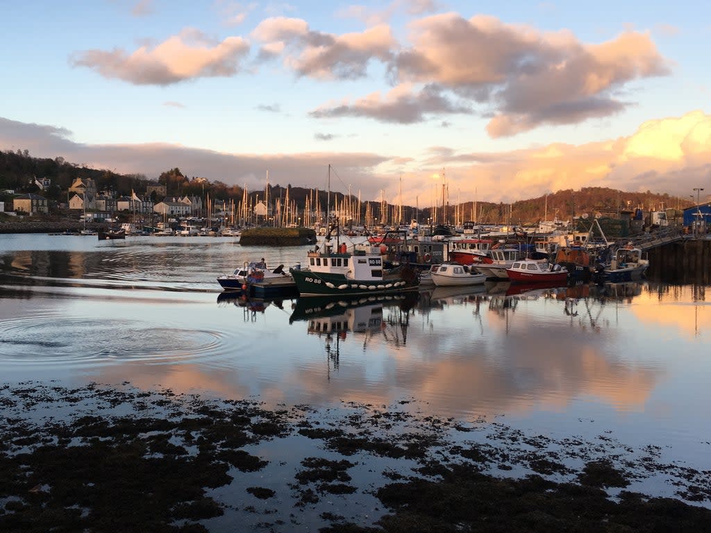 Sundowner: Tarbert in Argyll & Bute, southwest Scotland (Simon Calder)