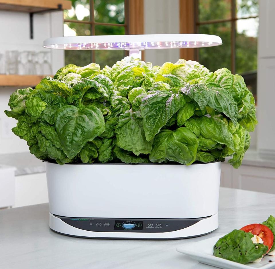 Not only will it look super sleek on your countertop, but it'll give you direct access to fresh herbs without having to start an outdoor garden. It includes nine pods with basil (two pods), Thai basil, curly parsley, Italian parsley, thyme, chives, dill and mint.<br /><strong><br />Promising review:</strong> "We have really enjoyed growing our herbs with the AeroGarden bounty basic. Set up took 'basil'-cally five minutes, and our herbs were sprouting in no 'thyme.' We have never had a garden of our own, so it has been a big 'dill' watching our herbs grow. The size is great for our medium size kitchen. It fits like it was 'mint' to be! In all seriousness the AeroGarden has been a treat to have. It&rsquo;s amazing how easy it was to set up, maintain with the digital reminders, and watch the herbs grow quickly!" &mdash; <a href="https://amzn.to/3mSvVCF" target="_blank" rel="nofollow noopener noreferrer" data-skimlinks-tracking="5723569" data-vars-affiliate="Amazon" data-vars-asin="none" data-vars-href="https://www.amazon.com/gp/customer-reviews/R1NMMEN4Q4E599?tag=bfjasmin-20&amp;ascsubtag=5723569%2C29%2C31%2Cmobile_web%2C0%2C0%2C14870771" data-vars-keywords="cleaning" data-vars-link-id="14870771" data-vars-price="" data-vars-product-id="1" data-vars-product-img="none" data-vars-product-title="Placeholder- no product" data-vars-retailers="Amazon">JJ﻿</a><br /><br /><strong>Get it from Amazon for <a href="https://amzn.to/3dnldks" target="_blank" rel="noopener noreferrer">$299.95+</a> (available in four styles).</strong>