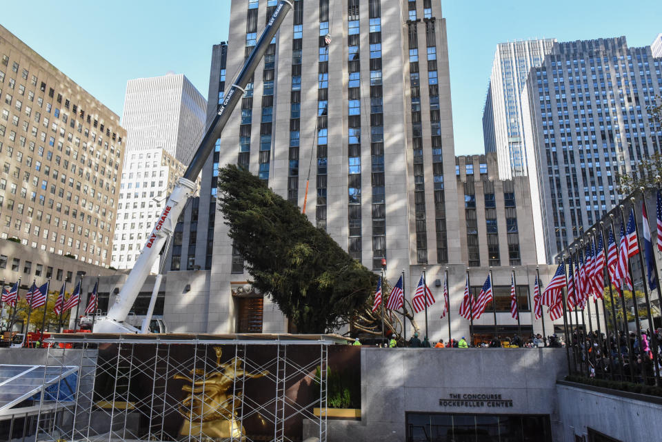 A crane hoists the Rockefeller Center tree upright on Saturday in New York City. (Photo: Stephanie Keith via Getty Images)