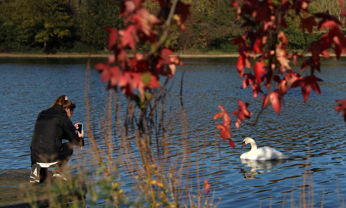 Le mois de novembre maintient le Royaume-Uni sur la bonne voie pour l’année la plus chaude jamais enregistrée