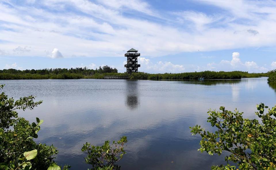 County staff are identifying more properties like Robinson Preserve where they can preserve and restore natural Florida landscapes, thanks to a conservation measure approved by voters in 2020.